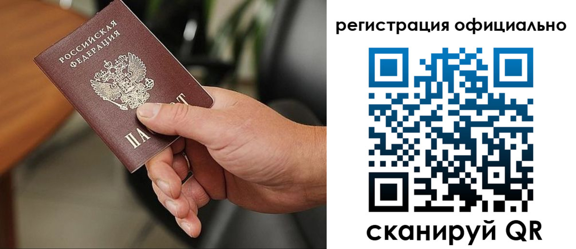 прописка гарантия в Стародубе